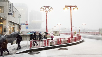 Chia Sẻ Về Mùa Đông Không Lạnh Của Ông Huỳnh Thanh Tòng - Nhân Viên Được Đào Tạo Bên Nhật
