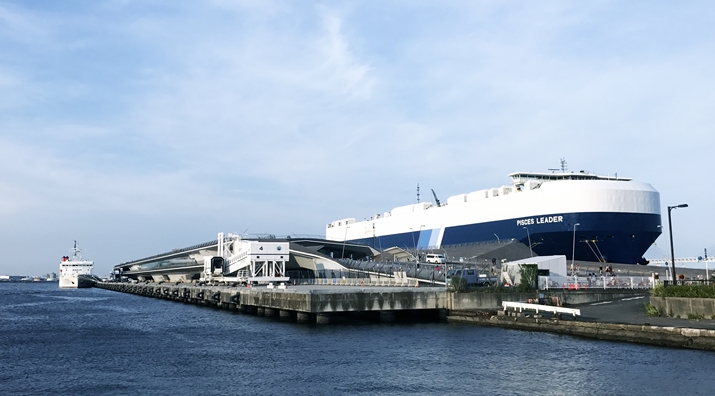 Chia Sẻ Về Cầu Tàu Osanbashi Của Ông Kiều Việt Hà - Nhân Viên Được Đào Tạo Bên Nhật