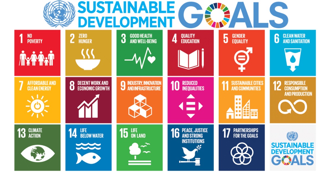 17 Sustainable Development Goals